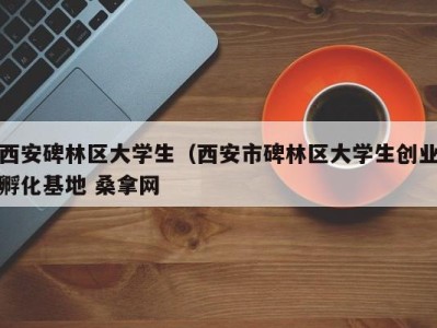 泉州西安碑林区大学生（西安市碑林区大学生创业孵化基地 桑拿网