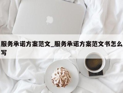 泉州服务承诺方案范文_服务承诺方案范文书怎么写 